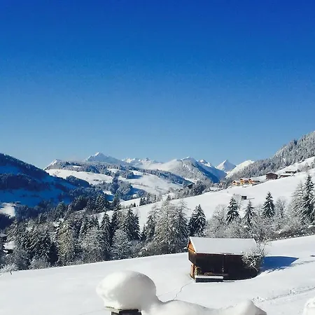 Tirol Juwel Апартаменты Альпбах