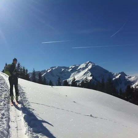 Tirol Juwel Apartment *