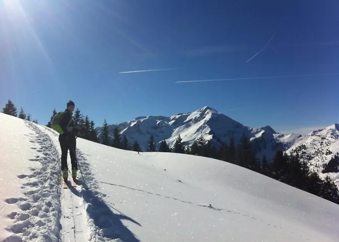 Tirol Juwel Διαμέρισμα *