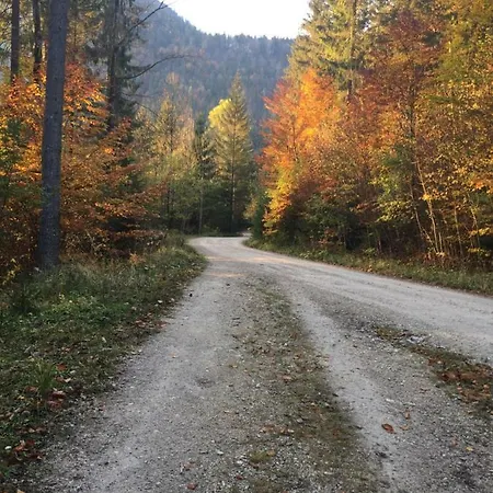 Tirol Juwel *