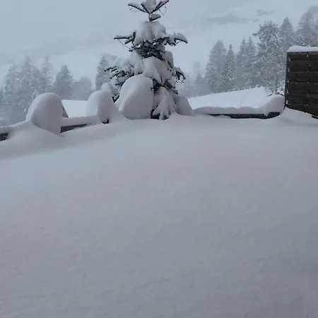 Tirol Juwel *