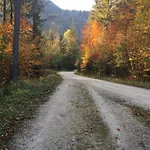 Tirol Juwel *